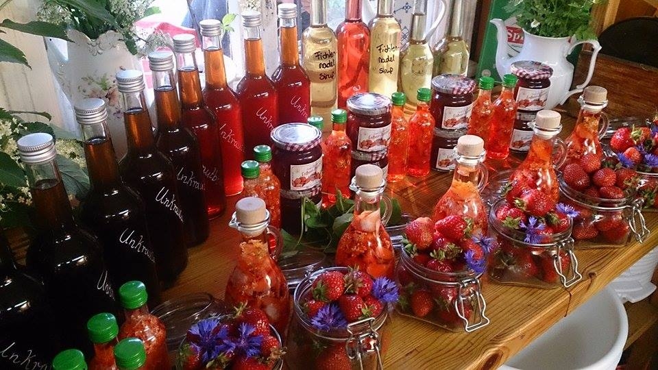 Holunderblüten - Saft im Spreewald